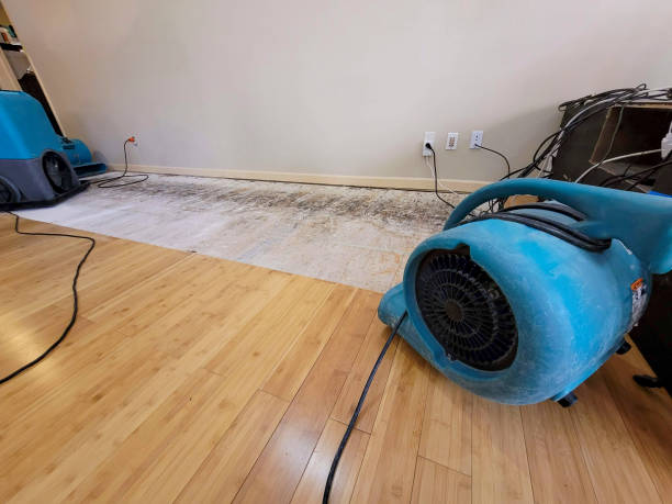 Professional Water Extraction technician working in Williams Bay, WI